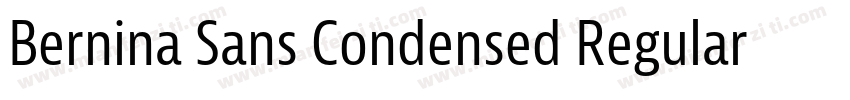Bernina Sans Condensed Regular字体转换